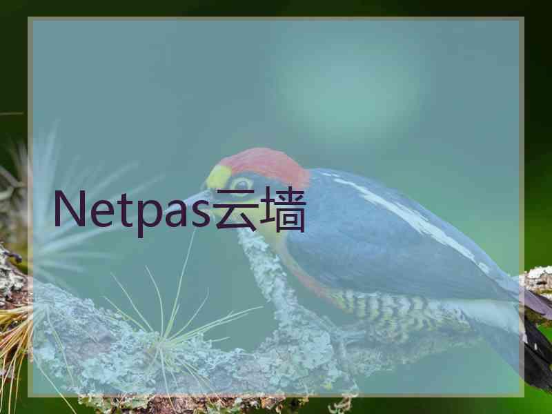 Netpas云墙