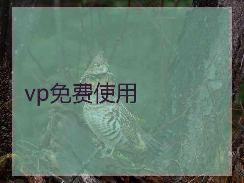 vp免费使用