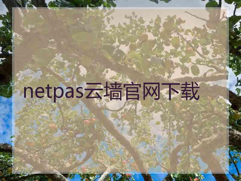 netpas云墙官网下载