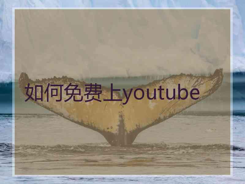 如何免费上youtube