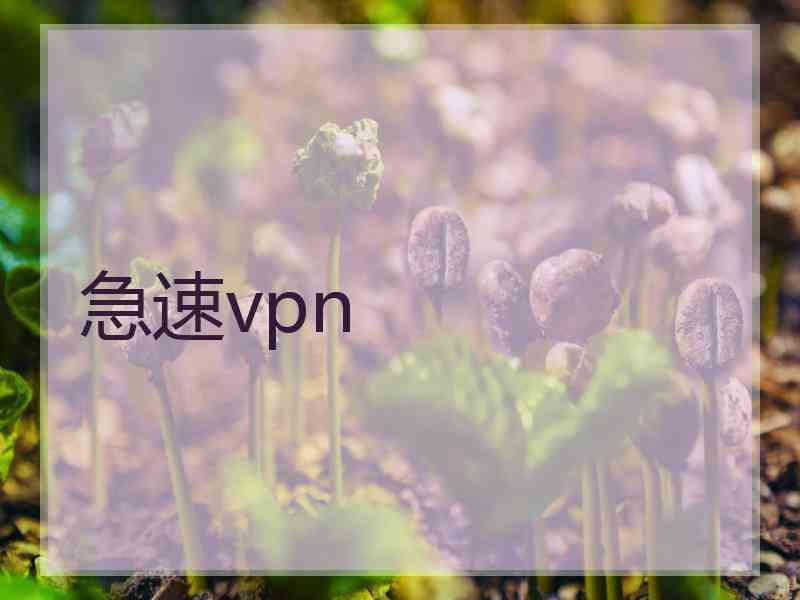 急速vpn