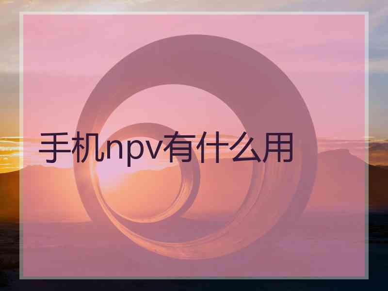 手机npv有什么用