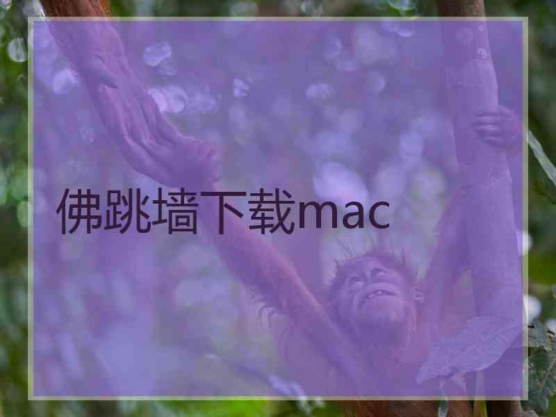 佛跳墙下载mac