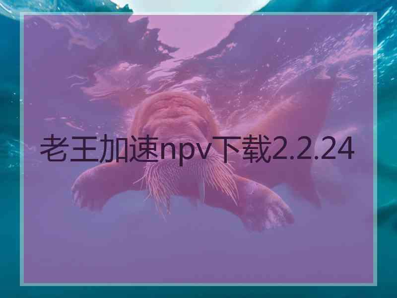 老王加速npv下载2.2.24