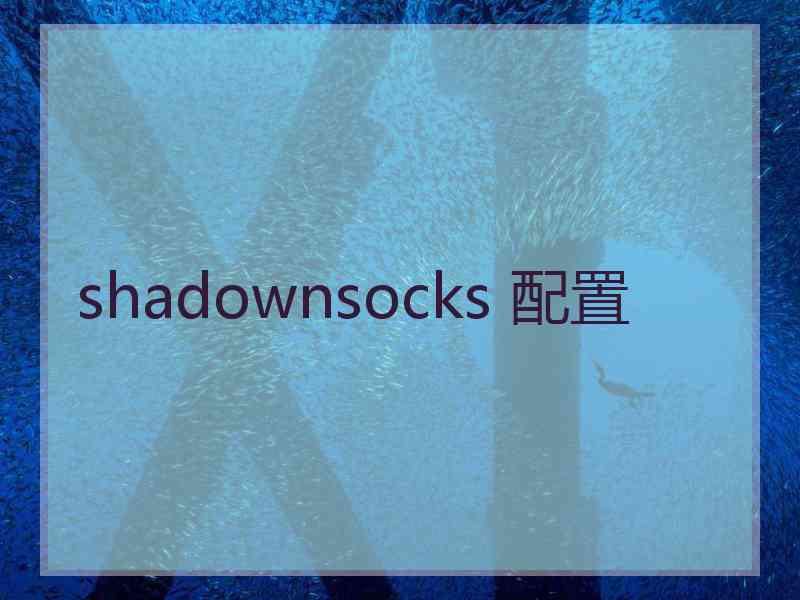 shadownsocks 配置