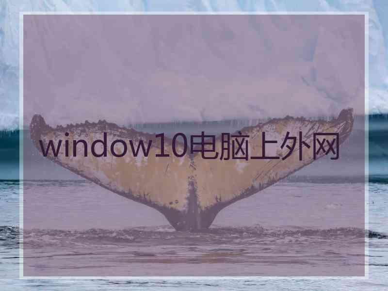 window10电脑上外网