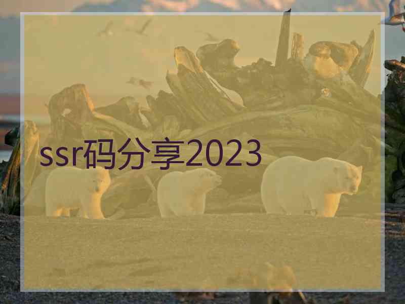 ssr码分享2023