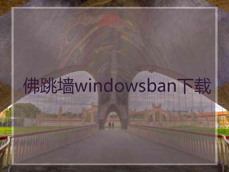 佛跳墙windowsban下载