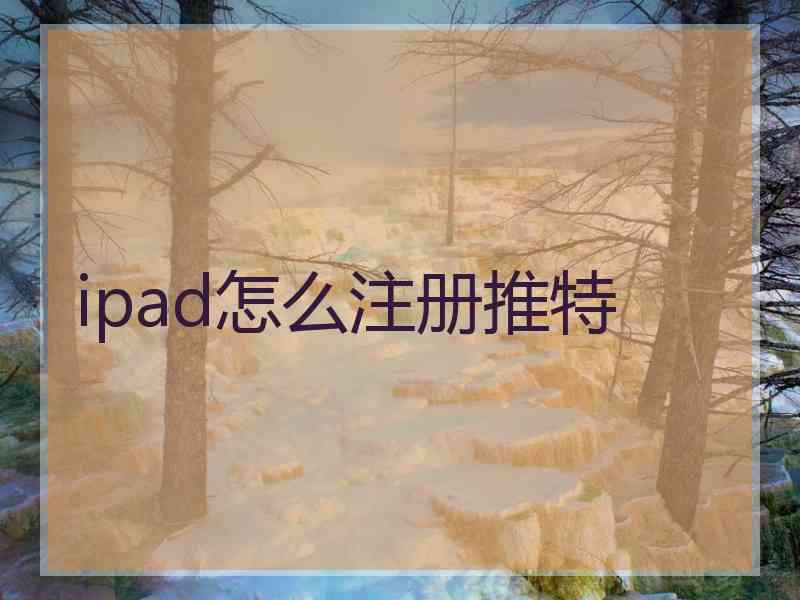 ipad怎么注册推特