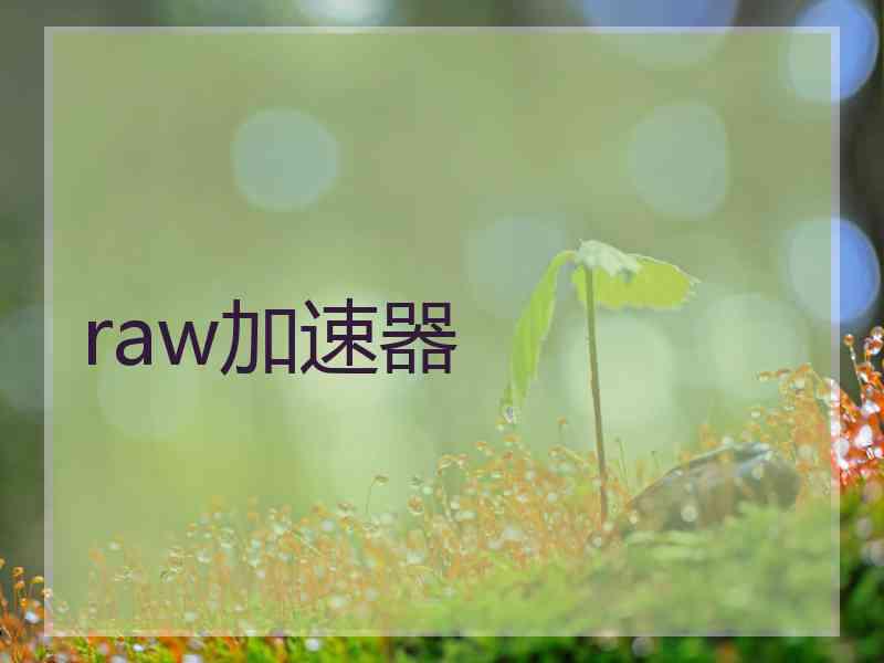 raw加速器