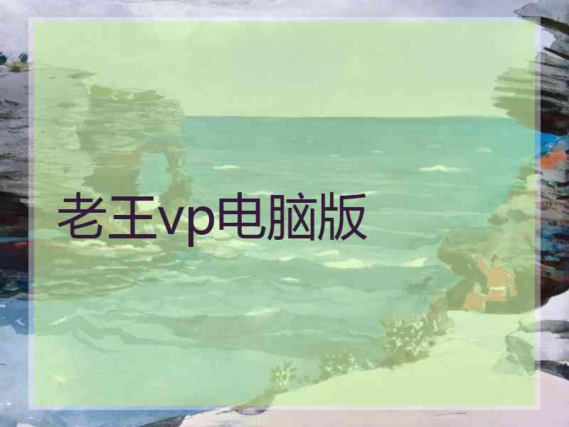 老王vp电脑版