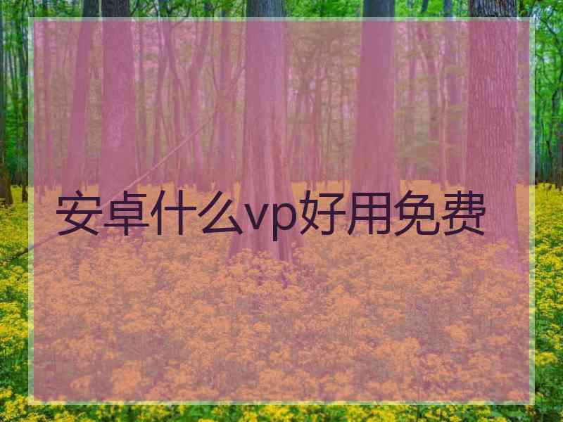 安卓什么vp好用免费