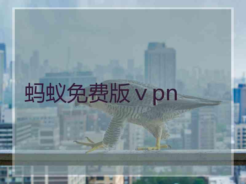 蚂蚁免费版ⅴpn