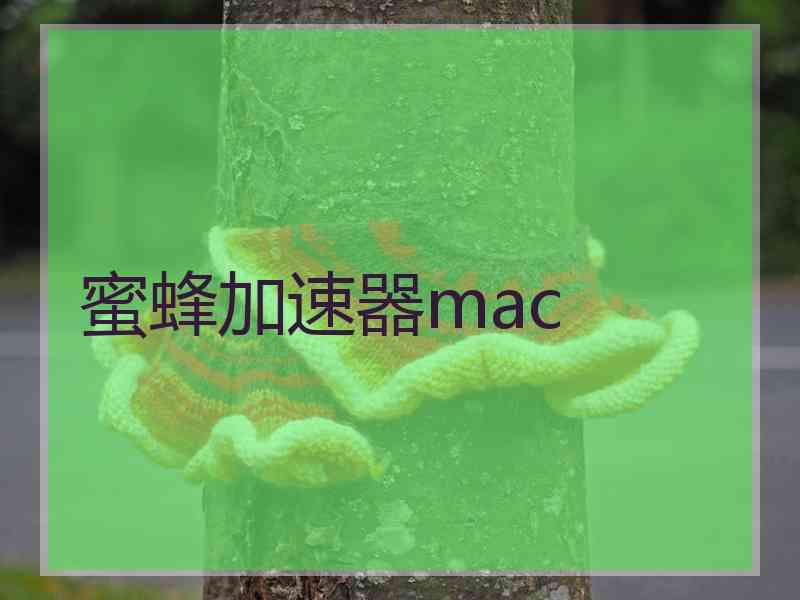 蜜蜂加速器mac