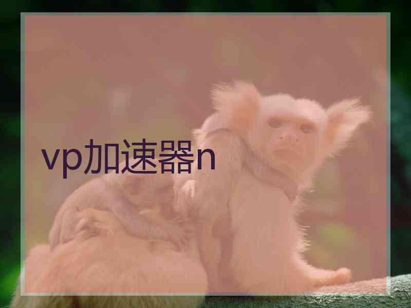 vp加速器n