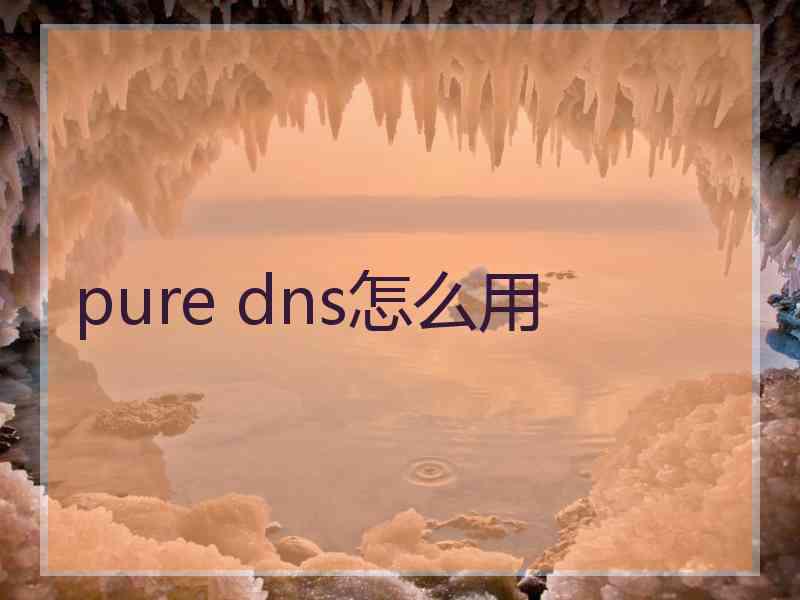 pure dns怎么用