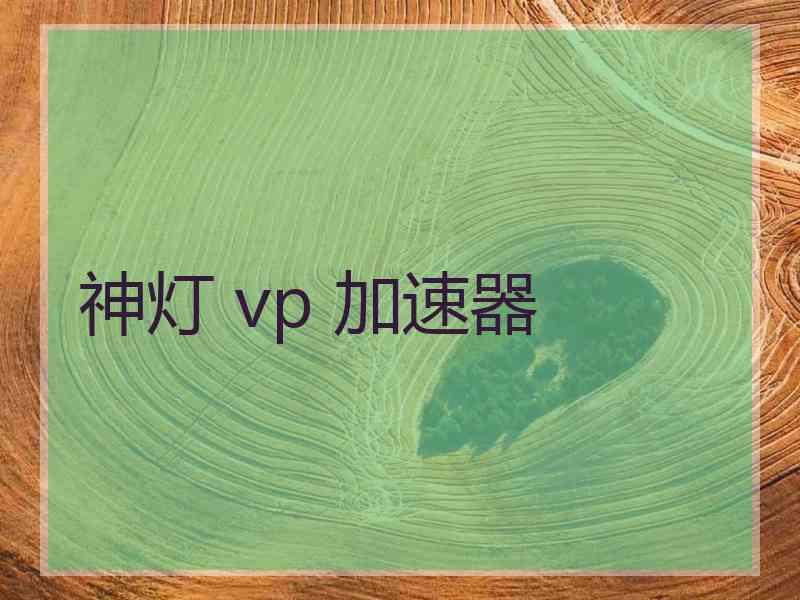 神灯 vp 加速器