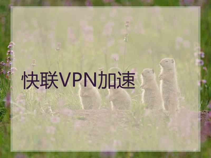 快联VPN加速