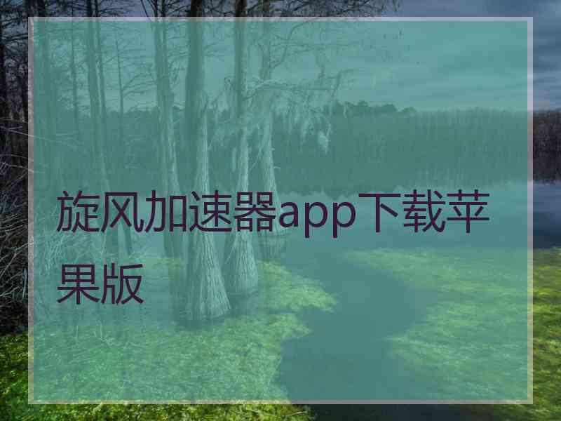 旋风加速器app下载苹果版