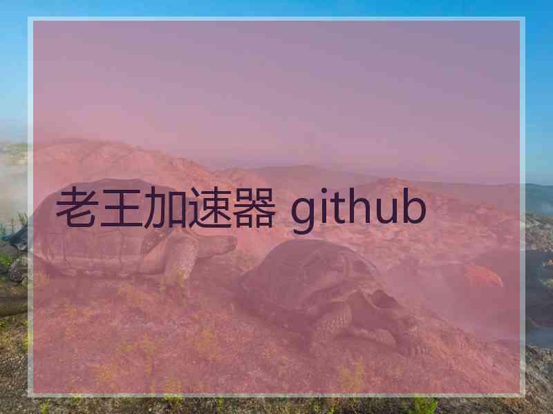 老王加速器 github