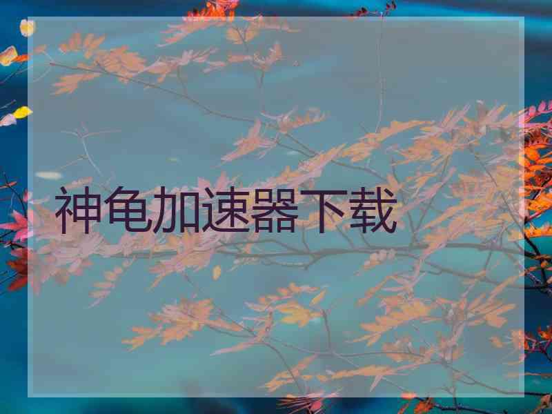 神龟加速器下载