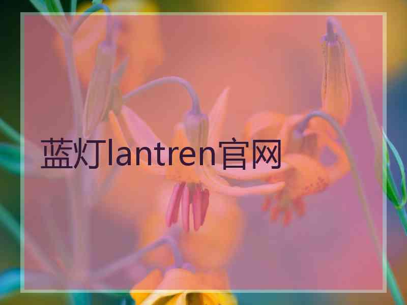 蓝灯lantren官网