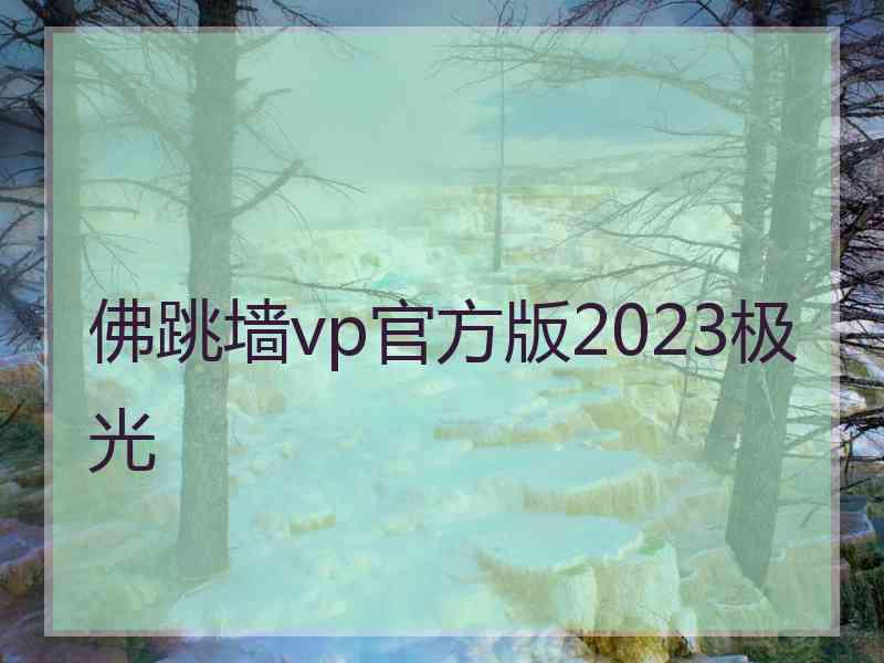 佛跳墙vp官方版2023极光