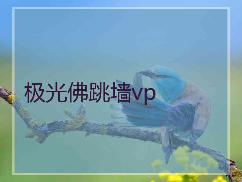 极光佛跳墙vp