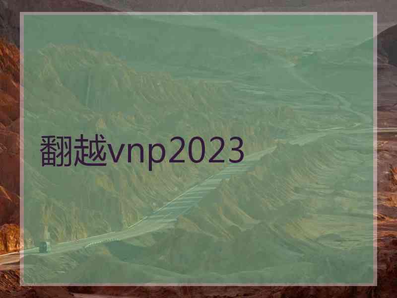 翻越vnp2023