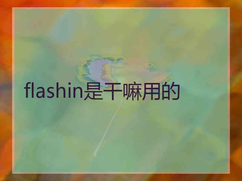 flashin是干嘛用的