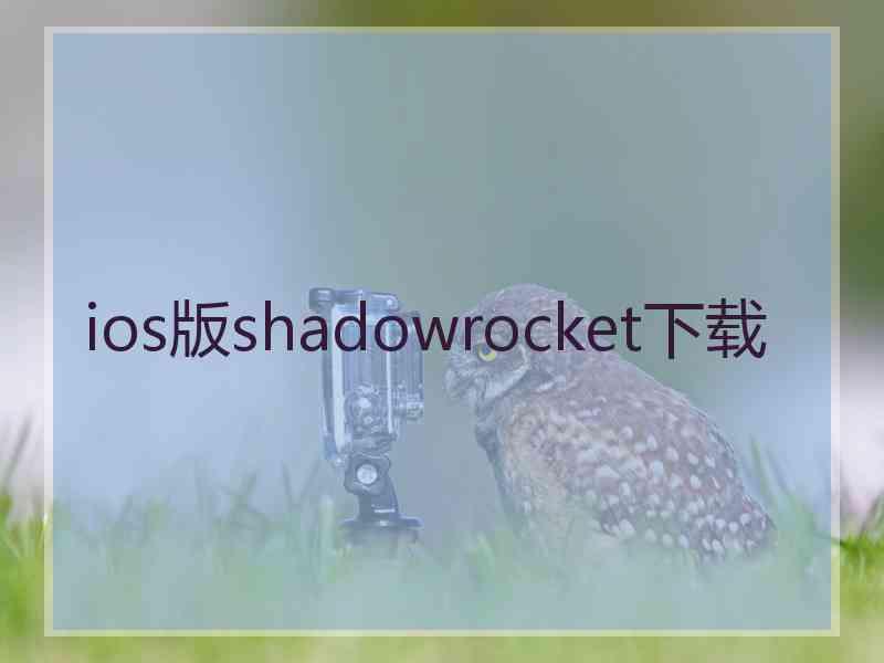 ios版shadowrocket下载