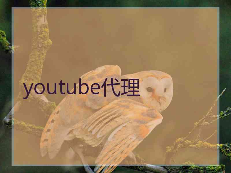 youtube代理